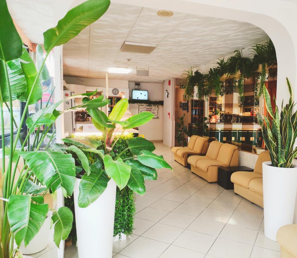 רימיני Hotel Zenith מראה חיצוני תמונה