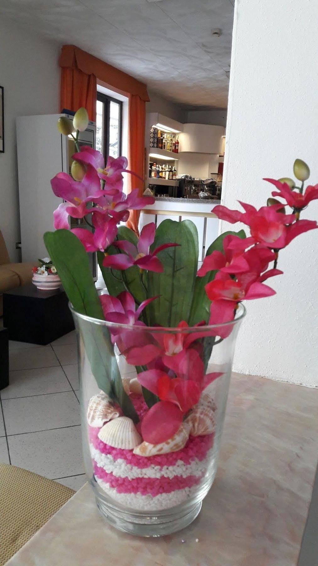 רימיני Hotel Zenith מראה חיצוני תמונה