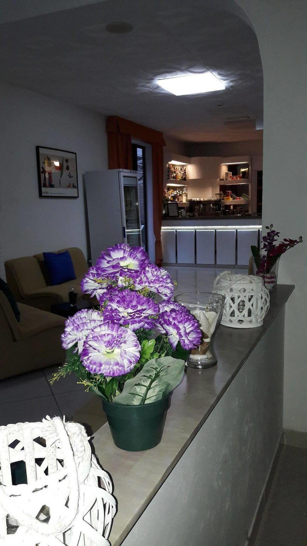 רימיני Hotel Zenith מראה חיצוני תמונה
